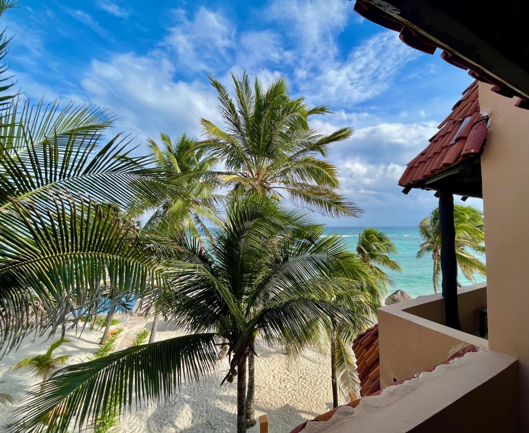 Beachfront Hammock Heaven อากุมัล ภายนอก รูปภาพ