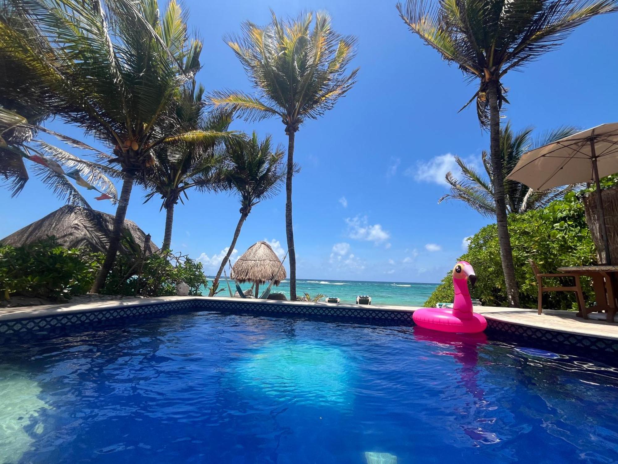 Beachfront Hammock Heaven อากุมัล ภายนอก รูปภาพ
