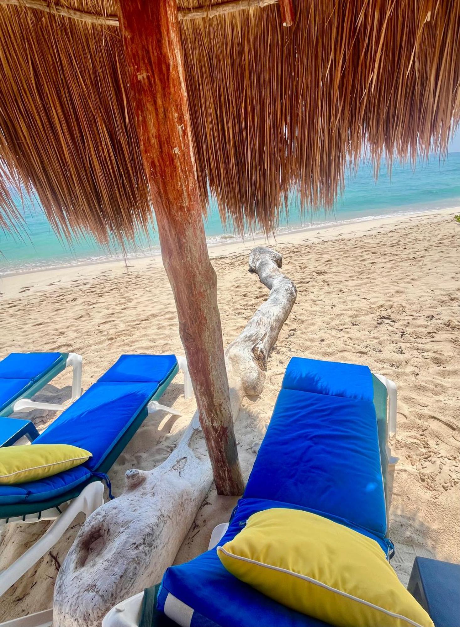 Beachfront Hammock Heaven อากุมัล ภายนอก รูปภาพ