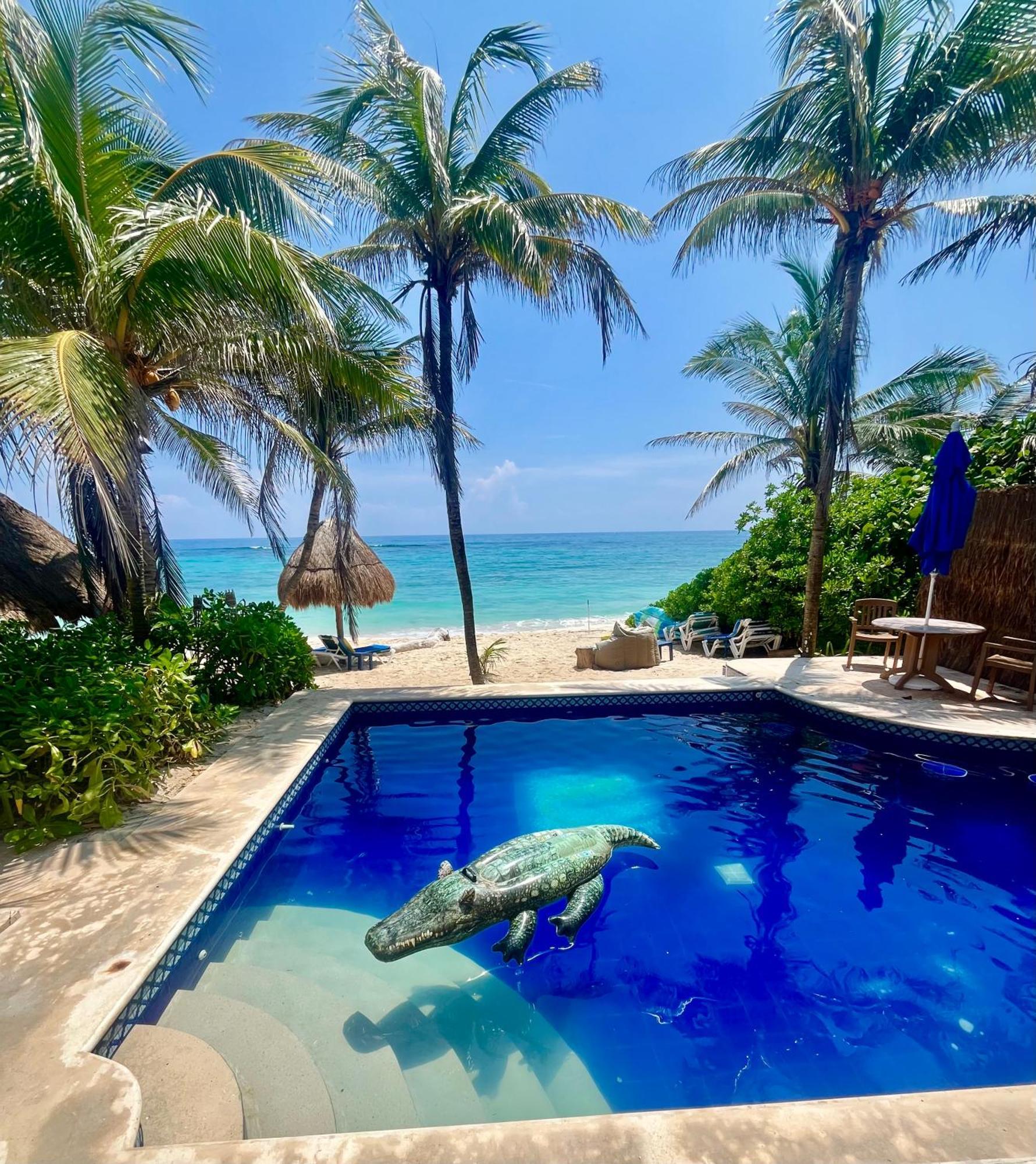 Beachfront Hammock Heaven อากุมัล ภายนอก รูปภาพ